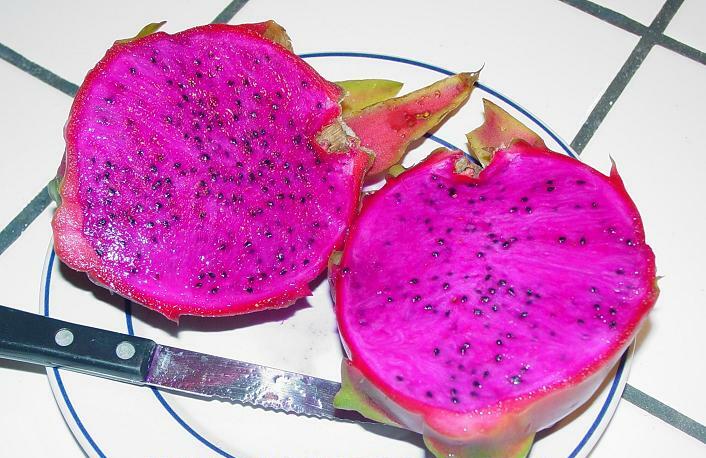 Fresh Dragon Fruit Export Quality
