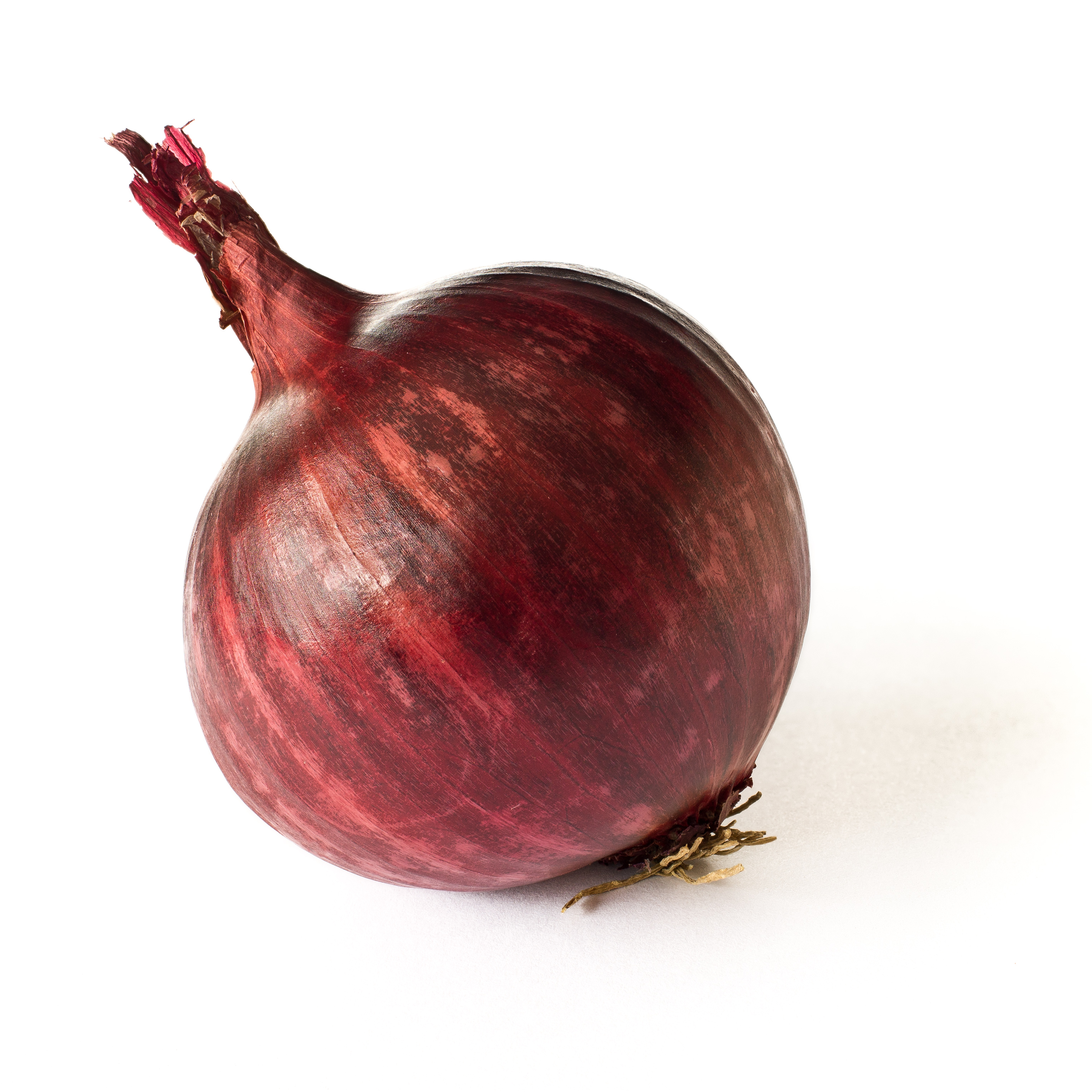 Premium Red Onion Export Quality
