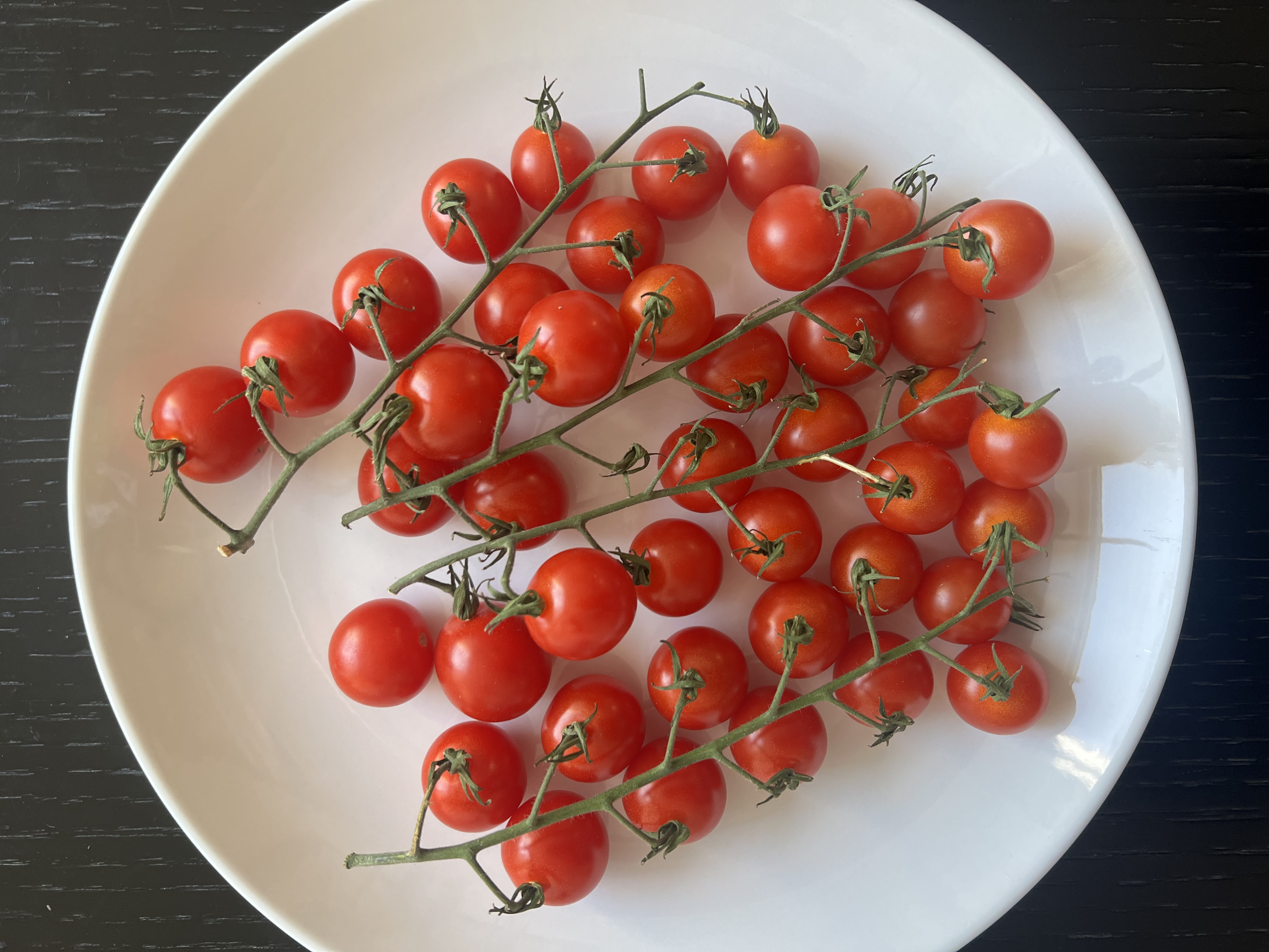 Fresh Tomatoes on the Vine Export