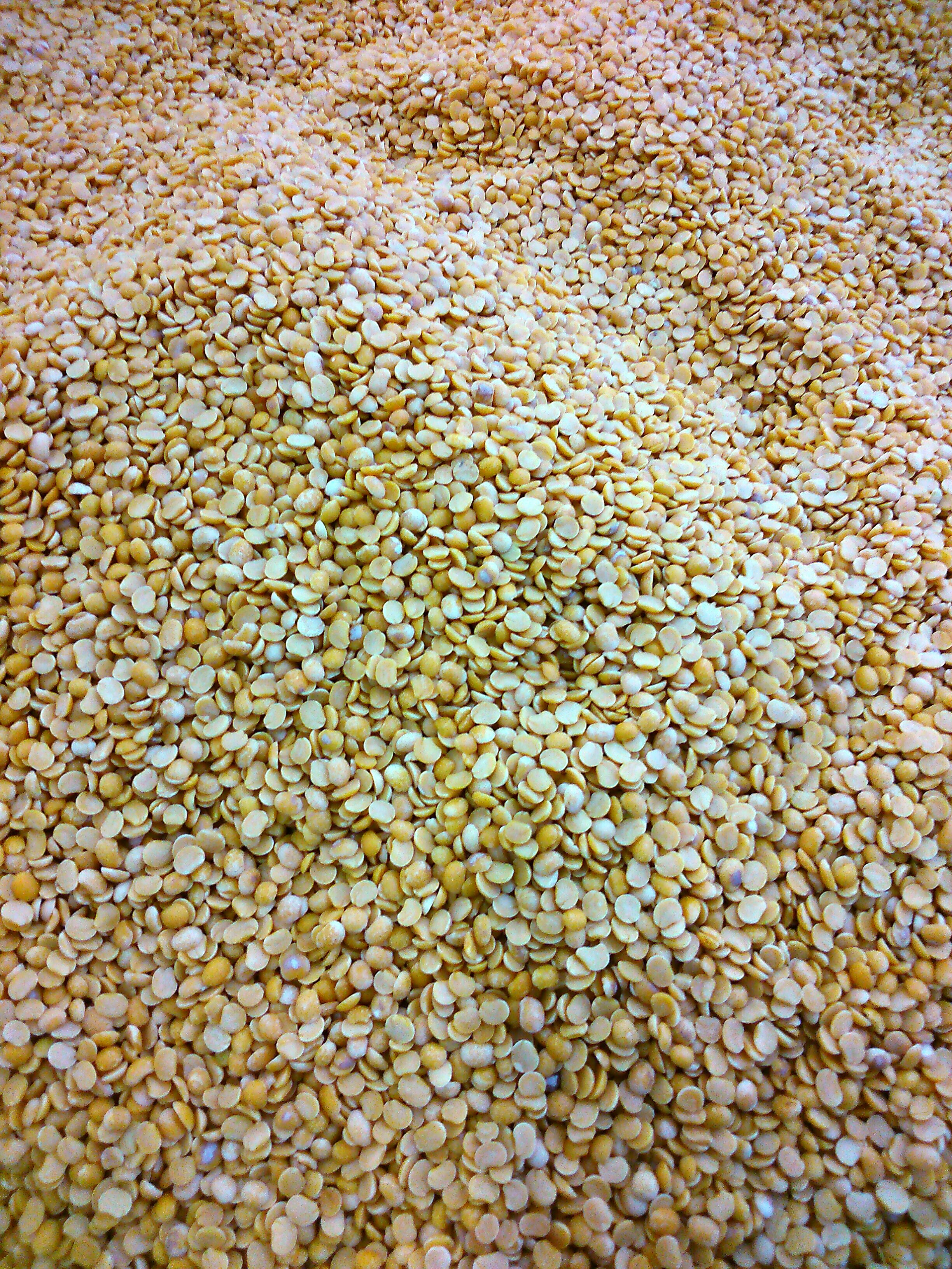 Premium Toor Dal Pigeon Pea Export